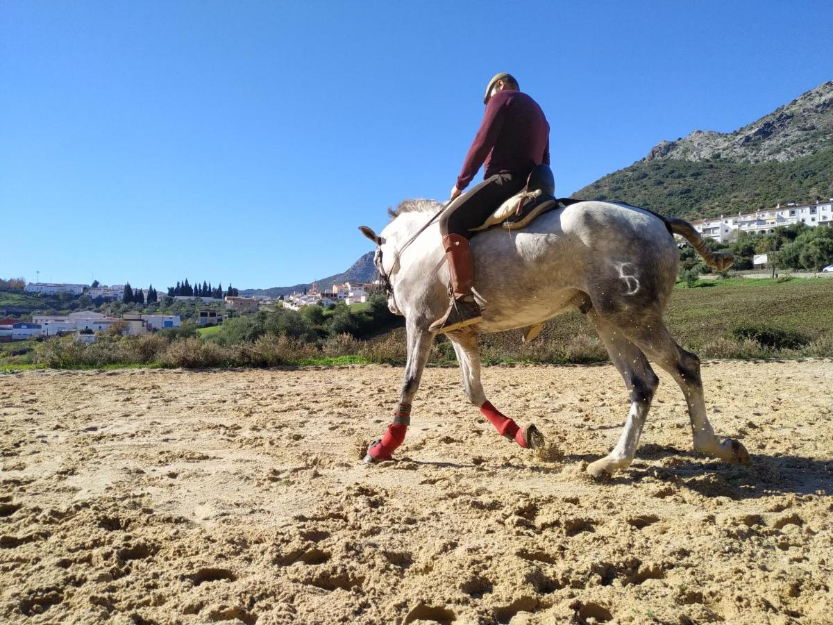 Apartamento Valle Del Guadiaro กอร์เตส เด ลา ฟรอนเตรา ภายนอก รูปภาพ