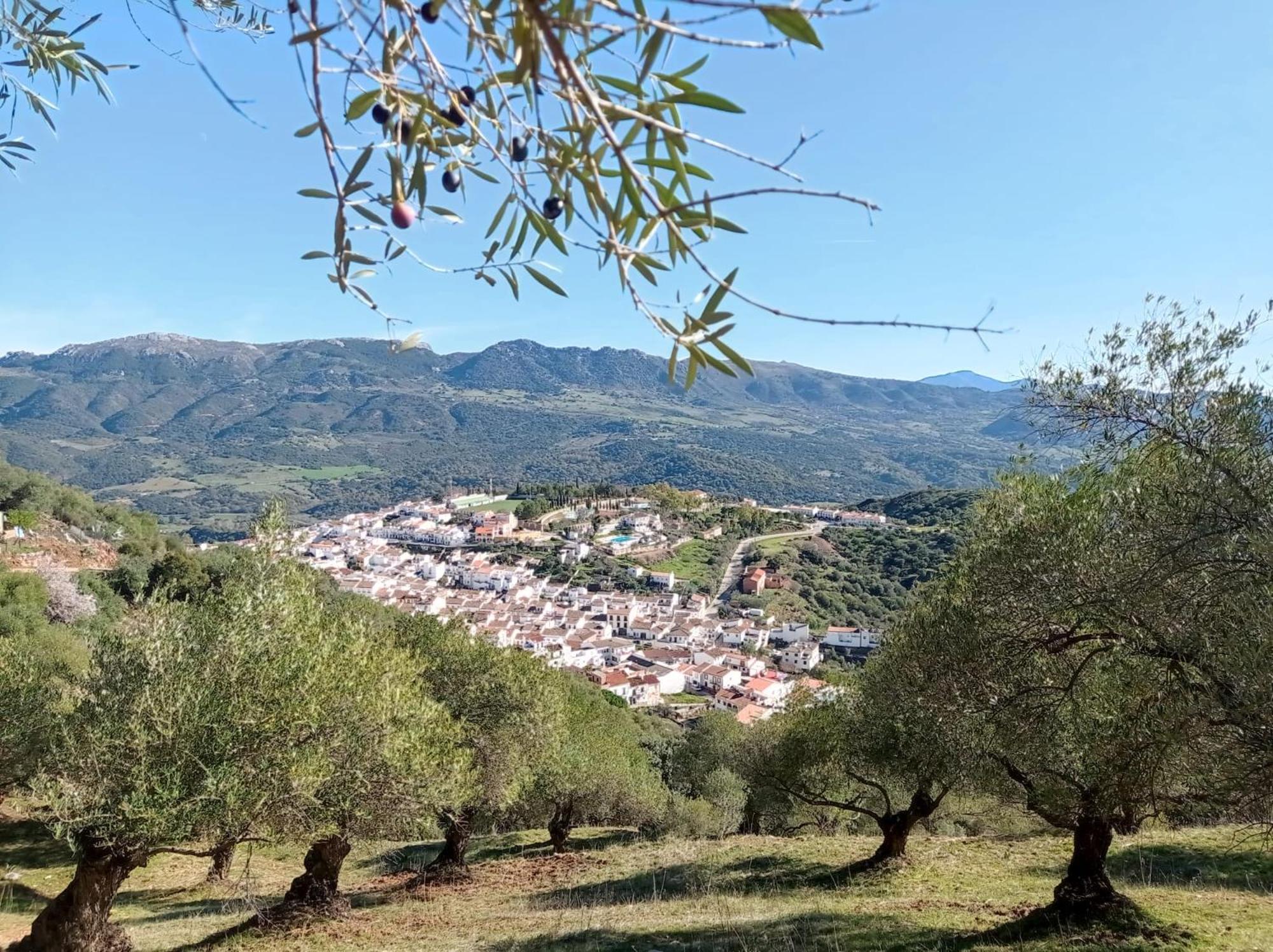 Apartamento Valle Del Guadiaro กอร์เตส เด ลา ฟรอนเตรา ภายนอก รูปภาพ